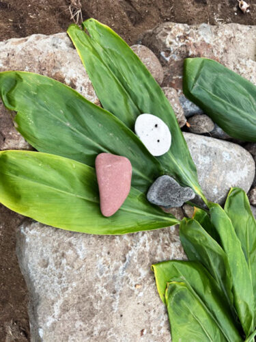 Send your best photos from Maui County to mauiphotos@mauinews.com for a chance to see them featured on our website and in our weekly print edition.